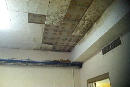 Ceiling Tile Poor condition. o The ceiling is adhered ceiling tiles, and many tiles have fallen. o Mold was present on the surface of some tiles. Wall Base Poor condition Cafeteria in not furnished.