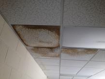 The sump pumps do not have alarms or controls. Ceiling tiles throughout the building indicate roof leakage.