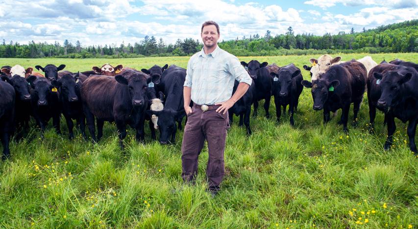 Case Studies: Global Animal Partnership COLD SPRING RANCH North New Portland, Maine Owner Gabe Clark and his herd of Angus cattle on Cold Spring Ranch.