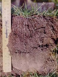 Improving soil structure Maximize organic matter contributions to the soil Keep tillage to a minimum Long term process, but