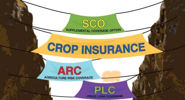 Farmers who enroll in ARC may not buy Supplemental Coverage Option (SCO) insurance beginning in 2015 because they are very similar products.