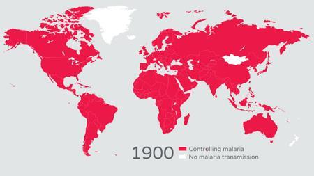 malaria parasites Shrinking