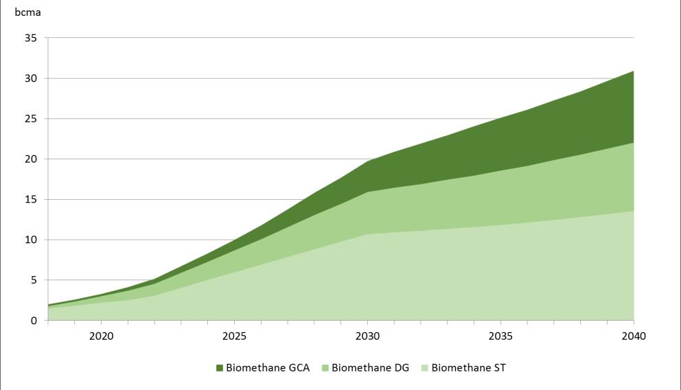 > Biomethane supply potentials Biomethane potentials only cover the share of biogas upgraded to biomethane as only this proportion can be injected into the distribution or transmission grids.