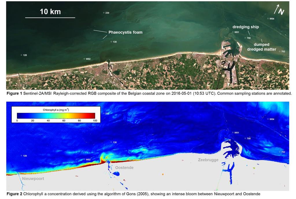 Intense near-shore bloom observed by Sentinel-2A/MSI in Belgian