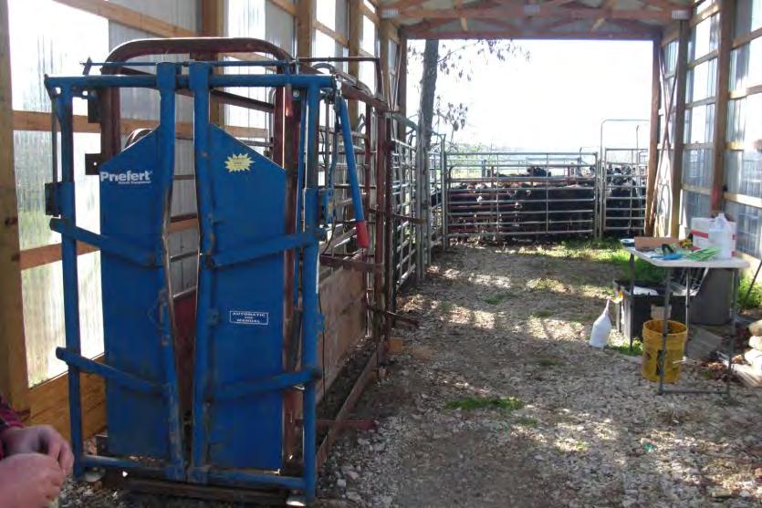 Breeding facilities and scales must