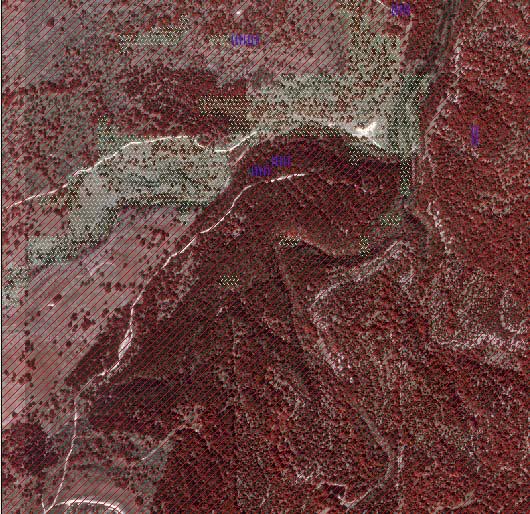 Landsat Data Original DOQQ Unclassified 0.69% FRSE 43.06% RNGB 31.83% RNGE 24.