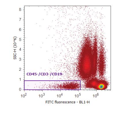 CD31- Pacific Blue (VL1-H) shows CECs in the upper right-hand quadrant (Figure 3). SSC-H (10 6 ) 8 7 6 5 4 3 2 1 0 FITC - BL1-H Figure 2. Gating the negative population. Gated on live cells.