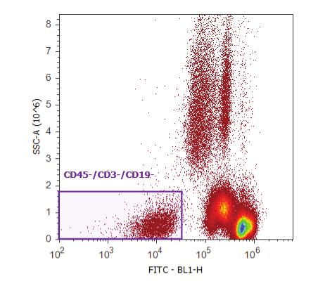 CD31- Alexa Fluor 647 (RL1-H) shows CECs in the upper right-hand quadrant (Figure 5). SSC-A (10 6 ) 8 7 6 5 4 3 2 1 0 FITC - BL1-H Figure 4. Gating the negative population. Gated on live cells.