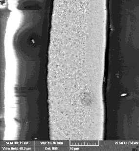 2 Microstructure (SEM) of the Al Fe alloy prepared by hot pressing Fig. 2 shows the microstructure of the alloy Al - Fe produced by hot pressing.