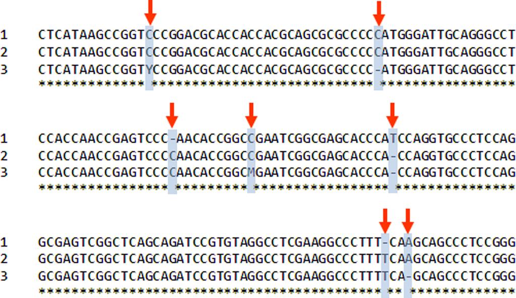 Kleffe et al Figure 2. Some parts of multiple alignments of 3-fold complete matches. genome sequence has not been published yet, we must regret that we cannot providing more detail on these data.