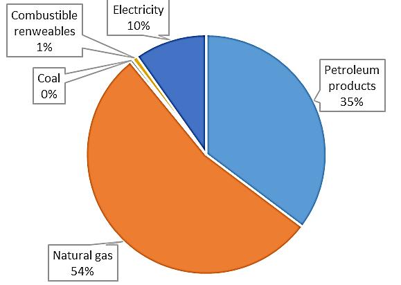 Energy fact and figures Share of energy carriers in total final consumption in IRAN - 2013 Sector in % Petroleum products 35.3 Natural gas 53.9 Coal 0.