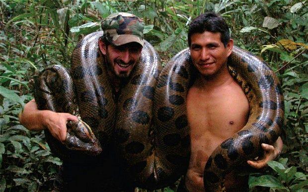 Writing Ideas: Why are these men holding this snake? What will happen to the snake?