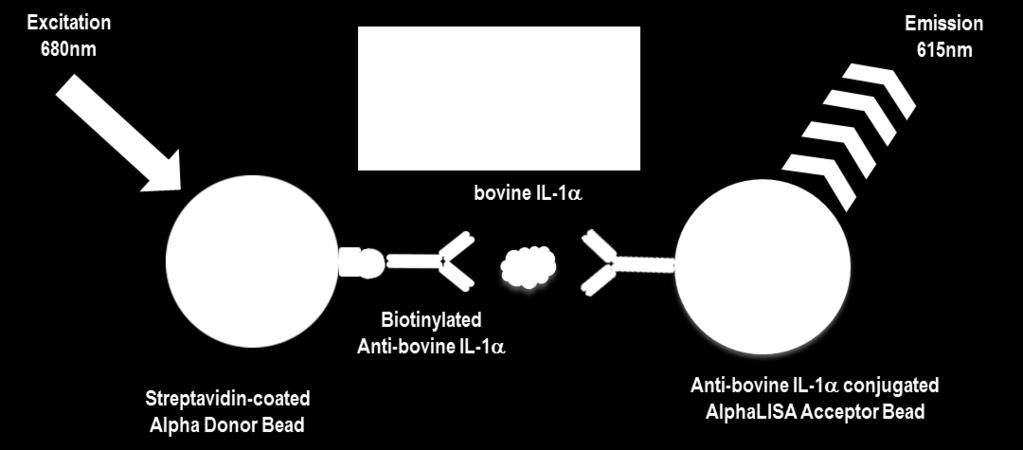 3 Analyte of Interest Cytokines are soluble mediators that impact a multitude of biologies including cell proliferation, survival, death, motility, cell-cell and cell-matrix interactions as well as