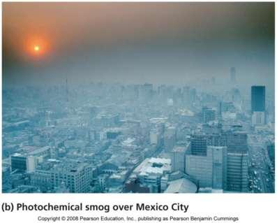 Photochemical (brown air) smog Produced by a series of reactions - Hot, sunny cities surrounded by mountains - Light-driven reactions of primary pollutants and normal