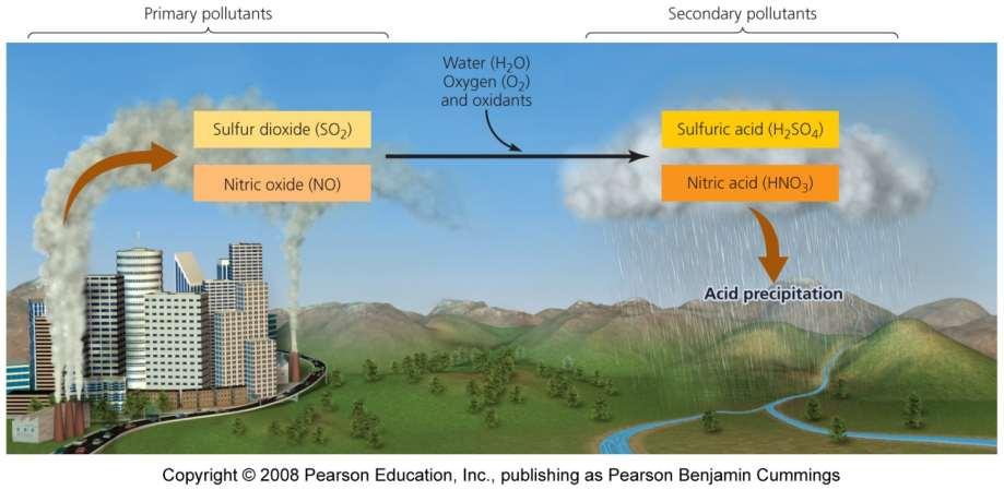 Sources of acid deposition Originates from burning fossil fuels that release sulfur