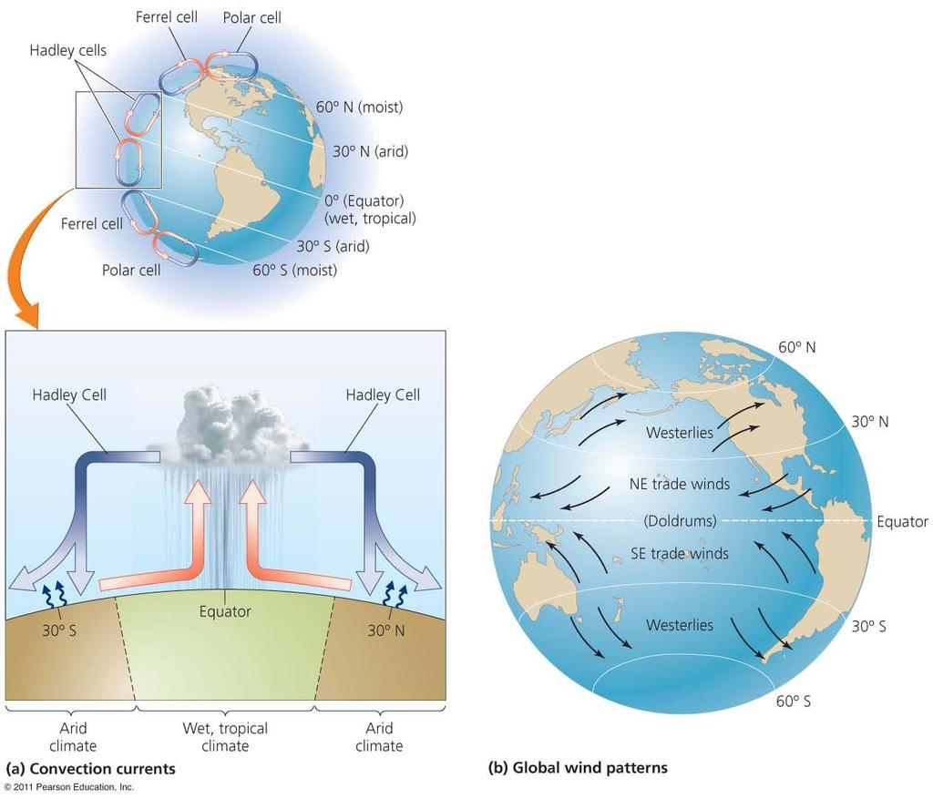 Climate patterns and