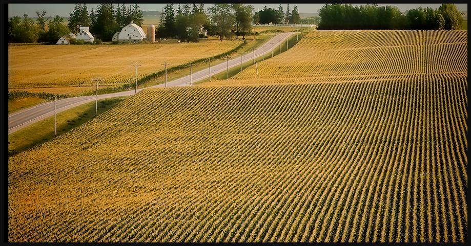 2.2. Modern agrarian landscapes in the world -This type of agriculture is typical in America and Europe and in coastal areas of countries with a humid