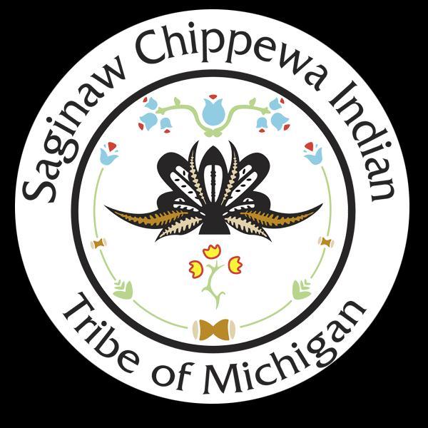 WATER QUALITY ASSESSMENT REPORT 2013 SAGINAW CHIPPEWA INDIAN TRIBE Clean Water Act Section 106 October 1,