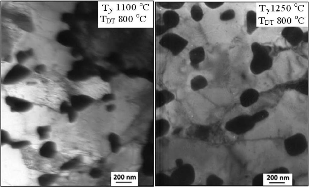 The carbides that were located along the grain boundaries were larger than those within the grain interiors, which would suggest that the stable carbides nucleated