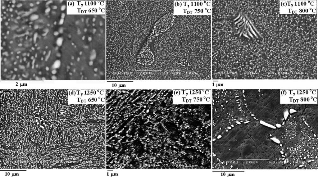 Fig. 10. Secondary electron images of the double tempered H21 tool steel showing morphology of the M 6C carbides with different magnification. Table 2.
