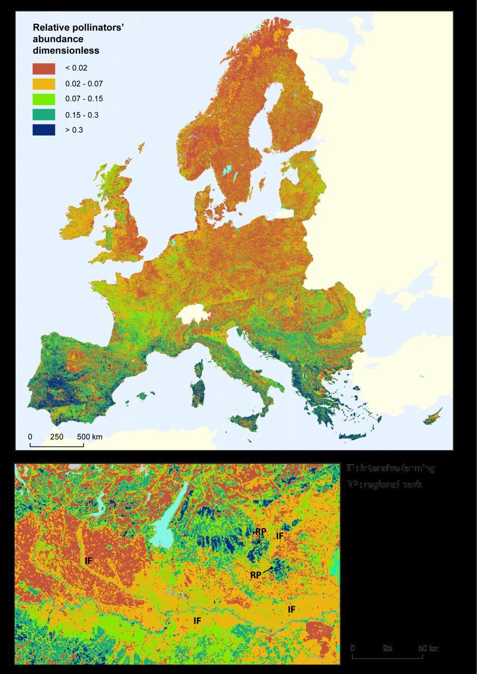 Mapping pollination gaps