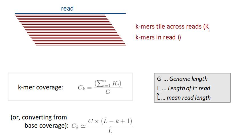 K-mer coverage k-mers tile across reads