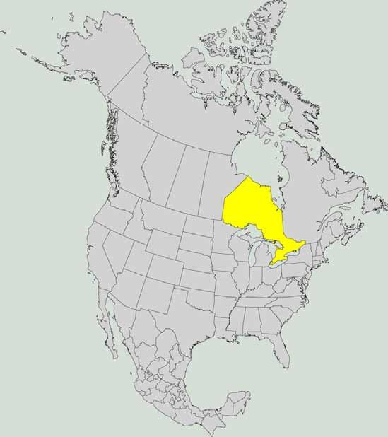 108 million ha (267 million acres) 41% of Ontario is located in a