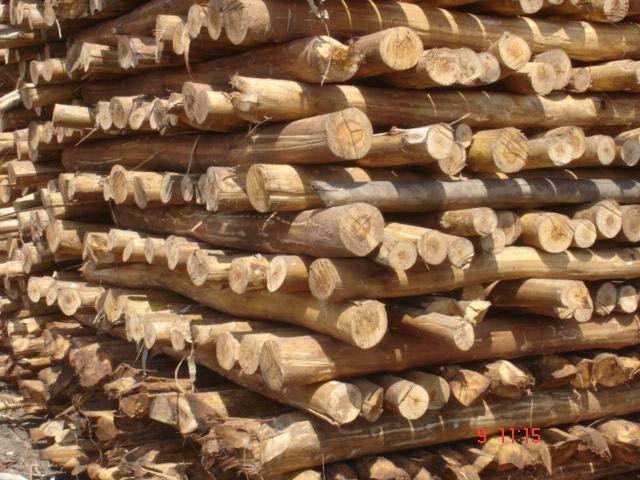 Indian Paper Industry Wood Requirement Indian Paper Industry consumes 8 million MT/annum of wood (~13 million cum/annum), and 90%