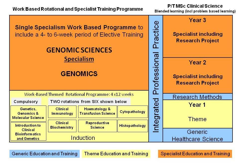 Modernising Scientific Careers: Scientist Training Programme (STP): Diagrammatic representation of employment-based, 3 year NHS commissioned pre-registration education and training programme 2.