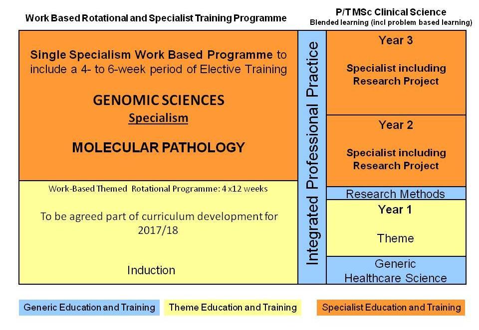 2.4 Overview of STP in Molecular Pathology The diagram below provides an overview of the STP that each trainee in Molecular Pathology will follow when the syllabus is developed for 2017/18.