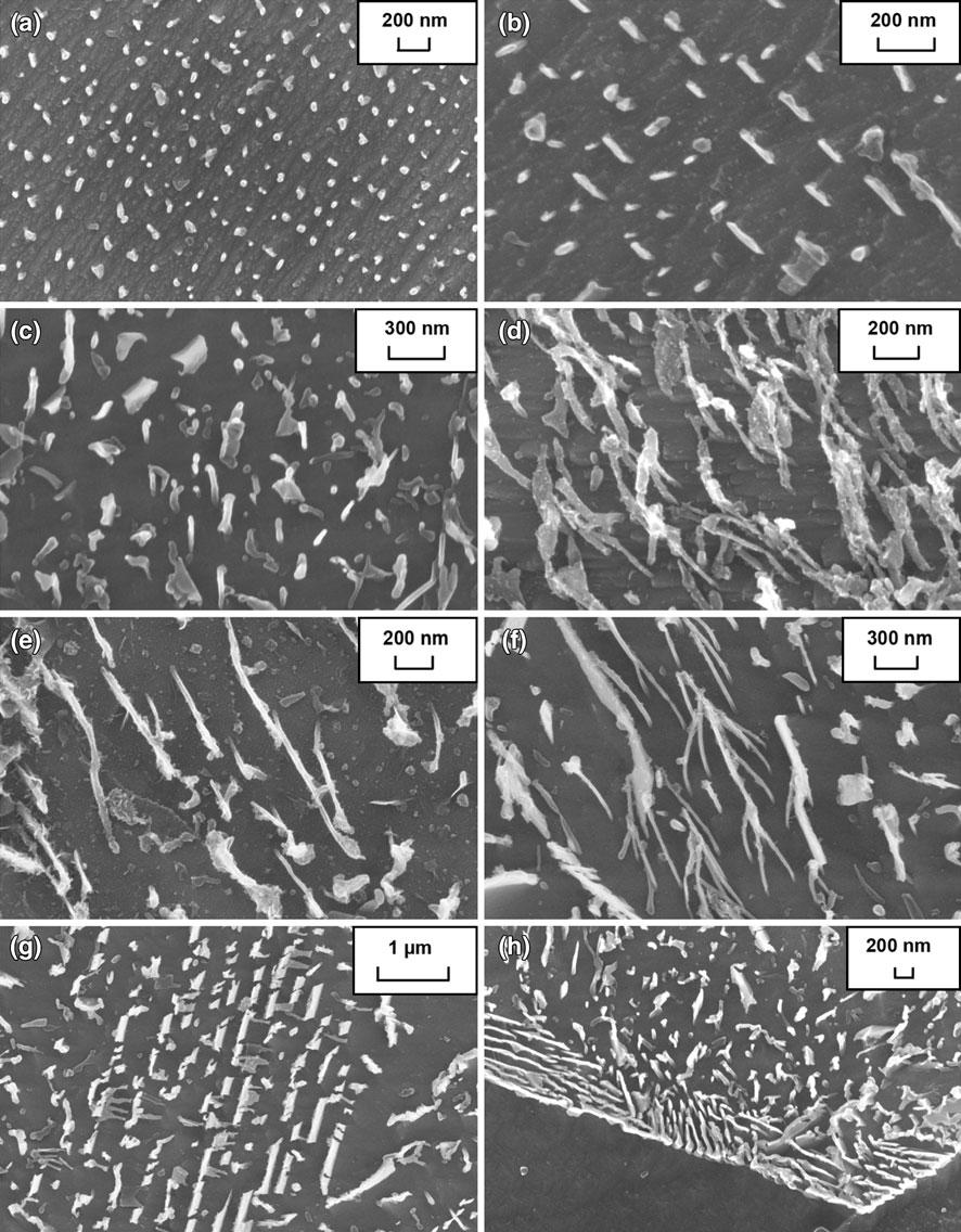 Fig. 3 FEGSEM micrographs of typical carbides in FCA grains of thermally cycled steels A, B, and C.