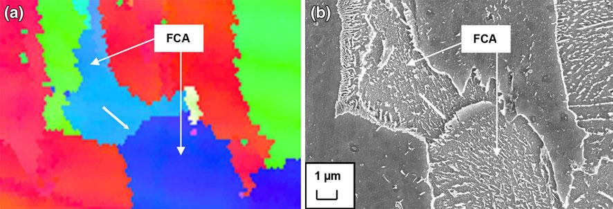 Fig. 6 EBSD analysis of adjacent FCA grains in thermally cycled steel B showing homogenous orientation with precipitation direction and low angle grain boundary (arrowed): (a) misorientation map and