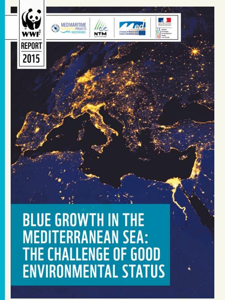 Agenda 1. About Blue Growth 2. Maps and trends 3.