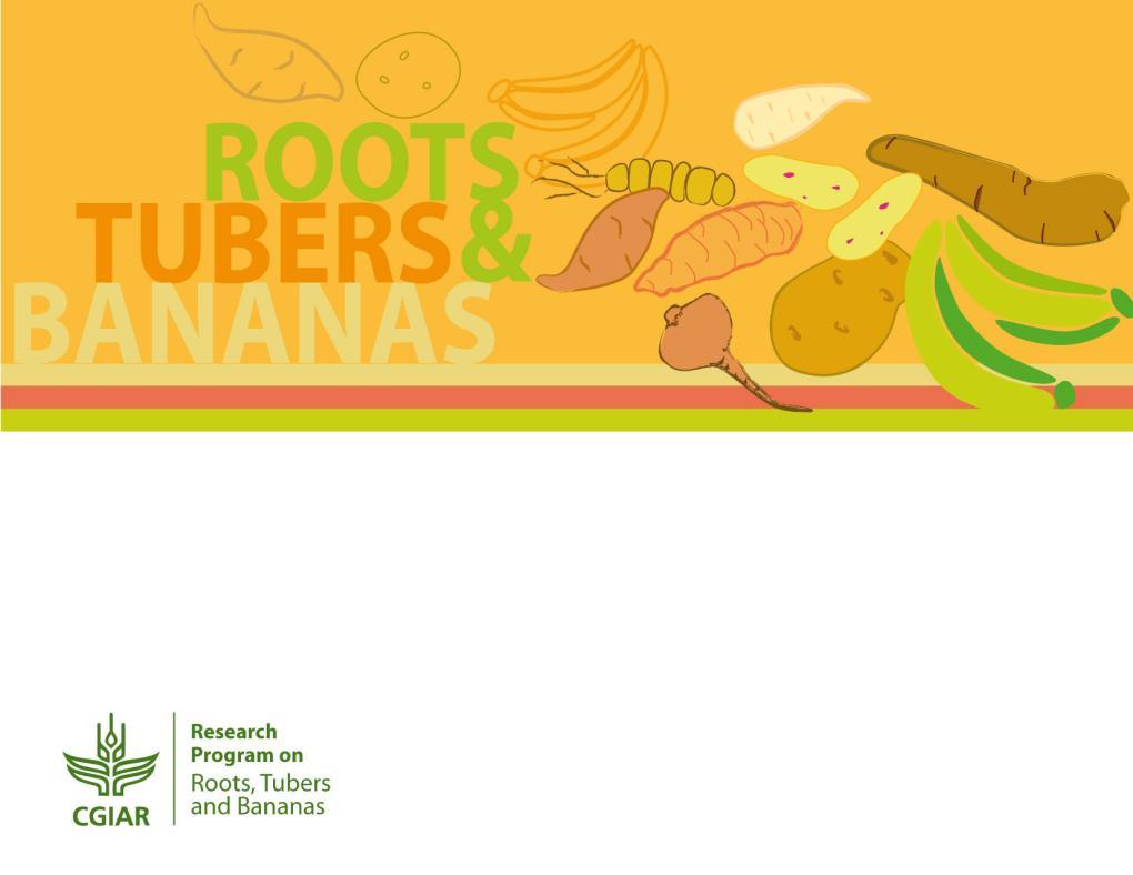 Roots, Tuber and Bananas for Food Security and Income (RTB): update on recent impact