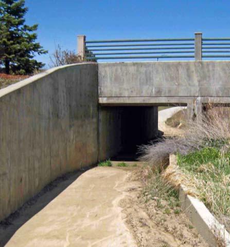 DRAINAGE Underpasses are low and dark drainage is critical Avoid