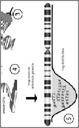 Mix DNA from your cells with a specific histone antibody Let antibody stick to the specific modified histone Get DNA