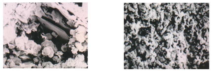 Iran. J. Chem. Chem. Eng. The Hydration Products of Vol. 26, No.3, 2007 Fig. 5: X-ray diffraction patterns of Secar 71 hydrated at 36 ºC. Fig. 6: The DSC peaks of cement hydrated at 36 ºC. Fig. 7: SEM micrograph of Secar71 hydrated for 7 days at 36 ºC ----- 3um.