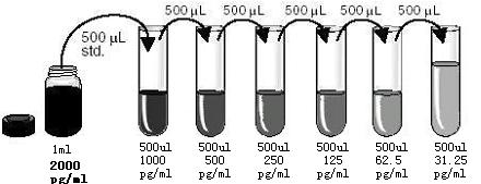 Figure 2: Preparation of VEGF standard dilutions GENERAL ELISA PROTOCOL 1. Prepare all reagents and working standards as directed in the previous sections. 2. Determine the number of microwell strips required to test the desired number of samples plus appropriate number of wells needed for running blanks and standards.