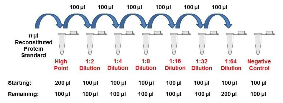 To obtain serial dilution high point, dilute reconstituted Protein to the maximum concentration for serial dilution by adding n μl reconstituted Protein to