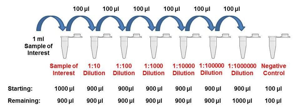 Shown below is a diagram illustrating a hypothetical 2- fold serial dilution on a given reconstituted Protein.