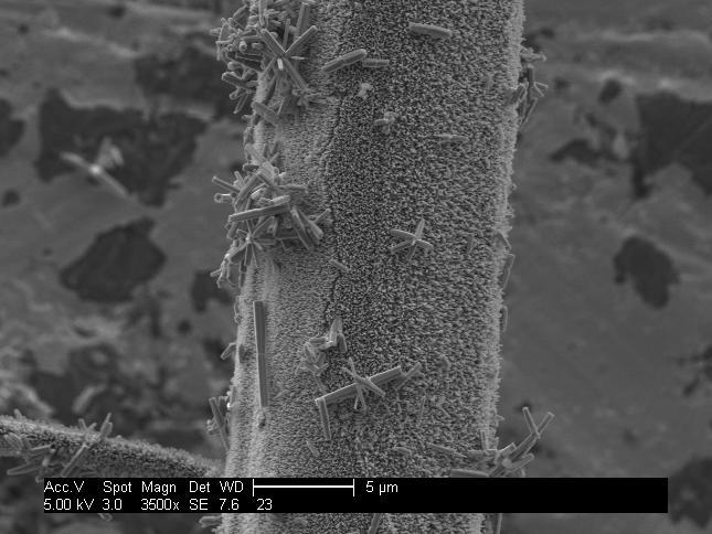 5 µm 2 µm Figure 1. SEM images from growth with 0.19 g Zn(NO 3 ) 2, 6 h, 80 C. Figure 2. SEM images at from growth with 0.1g Zn(NO 3 ) 2, 6 h, 80 C.