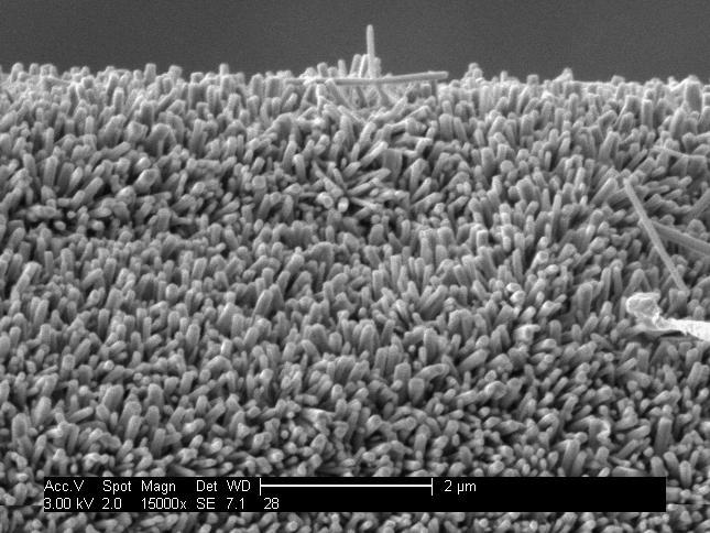 No noticeable difference in nanowire morphology or crystallite density was observed, suggesting that the majority of nucleation and growth of NWs and large