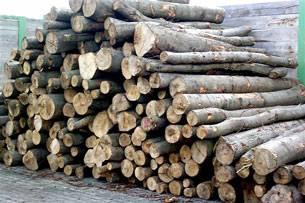 logs Short logs (standard