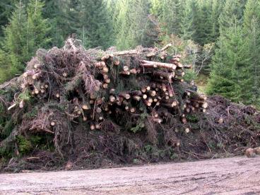 mechanized harvesting/ cable logging Additional assortment for forest owner Usually wood chips