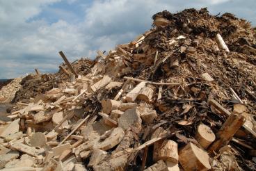 Additional Ligno-cellulosic Biomass Resources Ligno-cellulosic biomass from industry Sawmill residues
