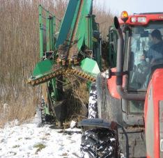 Harvest of Short Rotation Coppice