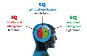 Qualities of Effective Leadership ~ Spiritual intelligence (SQ) Term used by some philosophers, psychologists and developmental theorists to indicate spiritual parallels with IQ & EQ Variations of SQ
