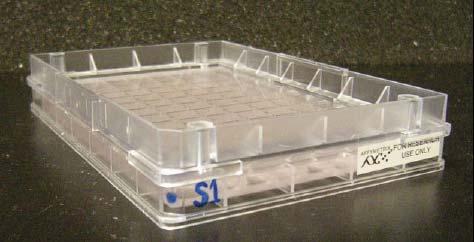 Stage 5: Manually Preparing Reagent Trays for GeneTitan MC 3: Aliquot Master Mixes and Axiom Hold Buffer into Trays NOTE: It is not necessary to change pipette tips between additions of the same