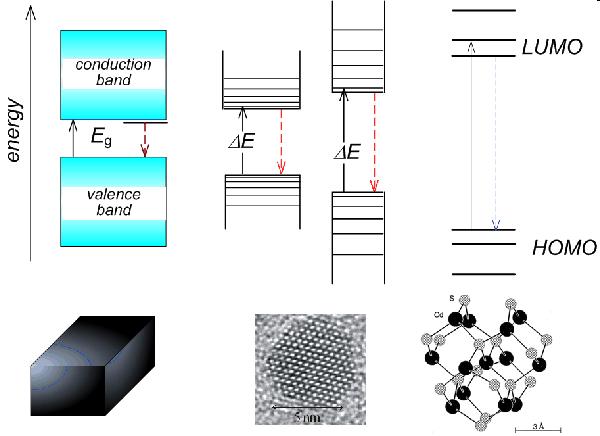 Special Fluorophores: Semiconductor Quantum Dots Quantum Size