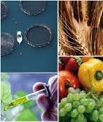 Societal Challenge 2: Objectives Contribute to securing sufficient supplies of safe, healthy and high quality food and other
